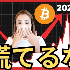 仮想通貨急落注意...逃げ場か？衝撃！日本のビットコイン県は〇〇でしたｯ！