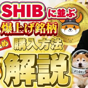 シバホルダー必見FLOKIがイーロン砲で高騰の予兆！！今仕込み時です！！#chatgpt #comedy #crypto