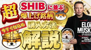 シバホルダー必見FLOKIがイーロン砲で高騰の予兆！！今仕込み時です！！#chatgpt #comedy #crypto