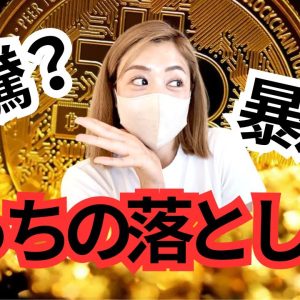 ビットコインの罠に揺さぶられてはいけない...仮想通貨は急騰？暴落？どっち？