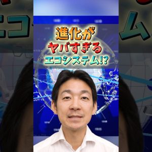 1年で5倍になった仮想通貨⁉︎#ビットコイン #仮想通貨