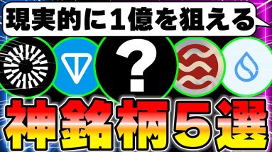 【徹底解説】現実的に1億狙える神銘柄を5つ教えます。