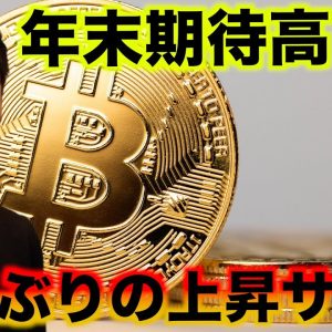 サイン点灯！ビットコインは年末に８０％上昇する？