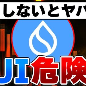 【100倍は無理？】気づかない人が多いSUIに潜むリスク