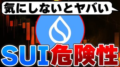 【100倍は無理？】気づかない人が多いSUIに潜むリスク