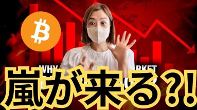 ビットコインヤバい展開？SUIミームシーズン到来？！今日の仮想通貨最新情報