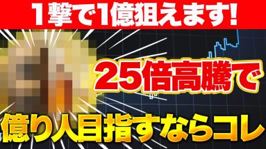 1撃で1億狙えます！25倍高騰で億り人目指すならコレ！【仮想通貨】【エアドロ】【サントリー響】