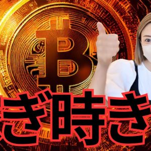 大統領選トランプ勝利！ビットコインもアルトもこれからエグい展開になりそうです...