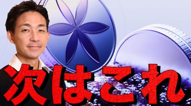 Solanaで次に期待の大型プロジェクト。Perenaがステーブルコインの流動性を解決する。