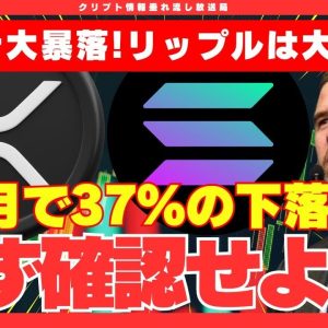 【衝撃】ソラナが大暴落！リップル(XRP)は大丈夫なのか？1カ月で37％の下落【リップル】【XRP】【仮想通貨】