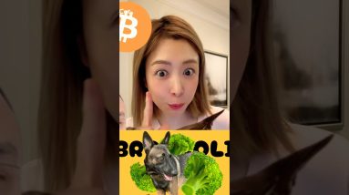 話題沸騰！新ミーム『BROCCOLI』とは？バイナンスCZ氏愛犬？！ #ビットコイン #仮想通貨 #暗号資産