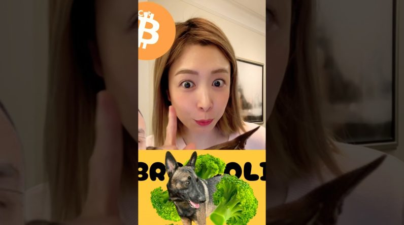 話題沸騰！新ミーム『BROCCOLI』とは？バイナンスCZ氏愛犬？！ #ビットコイン #仮想通貨 #暗号資産