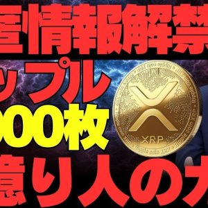 【秘匿情報解禁】リップル3,000枚が億り人のカギ！今年、仮想通貨で稼ぎたい人は見てください。【XRP】【ビットコイン】【BTC】