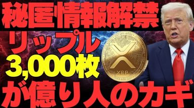 【秘匿情報解禁】リップル3,000枚が億り人のカギ！今年、仮想通貨で稼ぎたい人は見てください。【XRP】【ビットコイン】【BTC】