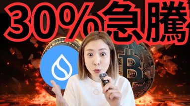 ビットコイン強気相場復活！SUI 30%急騰の真相