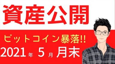 2021年5月31日の資産報告！ビットコイン暴落！かなり激変したポートフォリオ公開