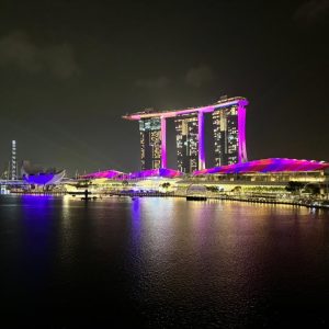 【実写ゲリラライブ】シンガポールから家計管理を叫ぶ