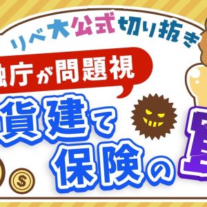 【お金のニュース】金融庁が問題視「外貨建て個人年金保険」の利率があまりにも低すぎる？【リベ大公式切り抜き】 完パケ