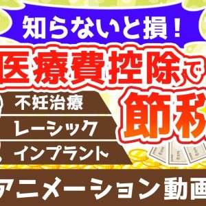 【知らないと損】医療費控除を使って税金を安くする方法【不妊治療・インプラント・レーシックもOK】【お金の勉強　初級編】：（アニメ動画）第480回