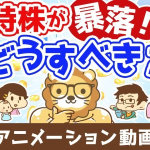 持っている株が暴落したらどうすれば良いのか？【株式投資編】：（アニメ動画）第481回