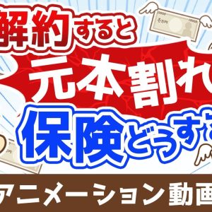 【解約or継続どちらが正解？】解約すると元本割れする保険をどうするべきか？【お金の勉強 初級編】：（アニメ動画）第497回