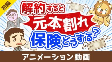 【解約or継続どちらが正解？】解約すると元本割れする保険をどうするべきか？【お金の勉強 初級編】：（アニメ動画）第497回