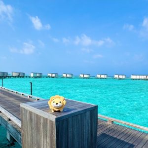 【実写ライブ配信】学長とモルディブ探検ツアー！