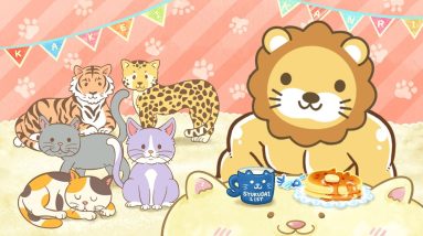 【お金の勉強ライブ：質疑応答多め】お金の講義：自信を得る3つの方法【2月23日 8時30分まで】